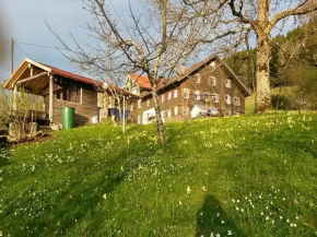 Ferienhaus Eulenhof